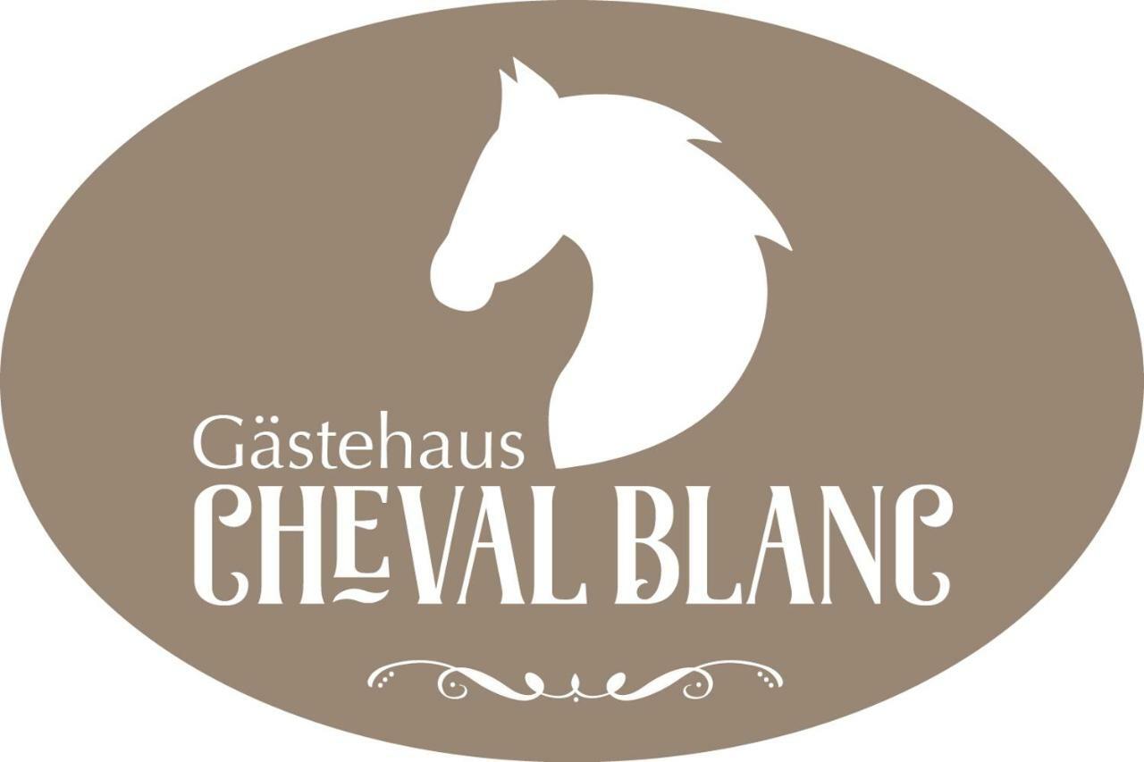 Gaestehaus Cheval Blanc Lorch am Rhein Esterno foto