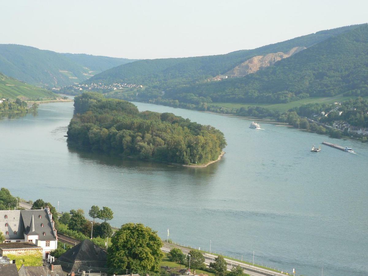 Gaestehaus Cheval Blanc Lorch am Rhein Esterno foto