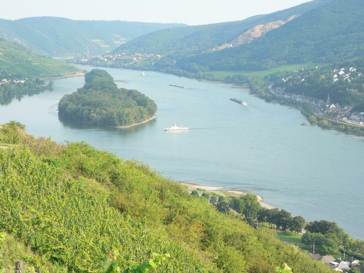 Gaestehaus Cheval Blanc Lorch am Rhein Esterno foto